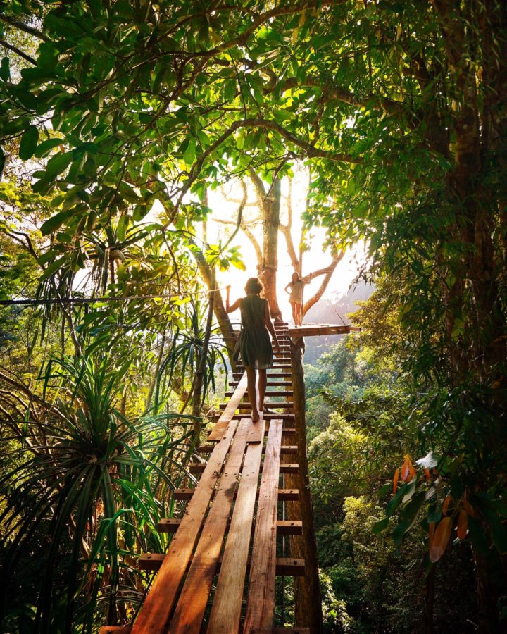 Building the Bridge from you to You through coaching